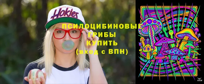 это как зайти  Завитинск  Галлюциногенные грибы Cubensis  закладки 